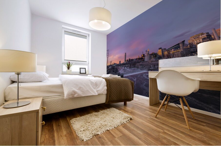 DN2 2018 3 Mural print