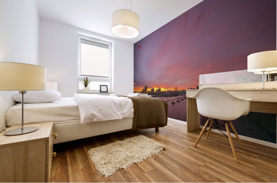 DN2 1972 Mural print