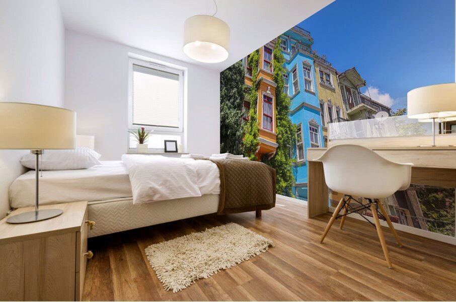 colorful houses istanbul Mural print