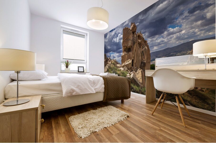 rock formation excavated by man at the zelve  Mural print