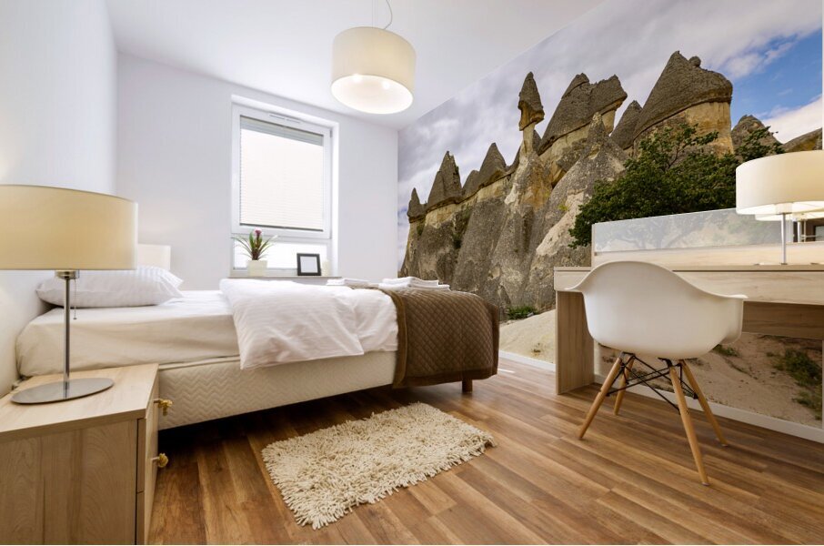 tuff formations in the rose vally in cappadocia.  Mural print