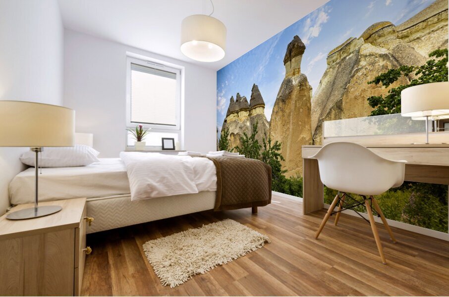 rock formations in the rose valley near goreme. Mural print