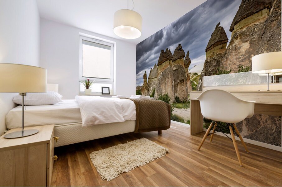 view of rock formations in the rose valley in cappadocia.  Mural print