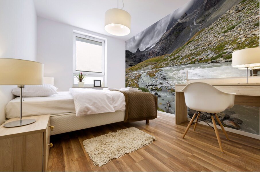 river near the Fellaria glacier  Mural print