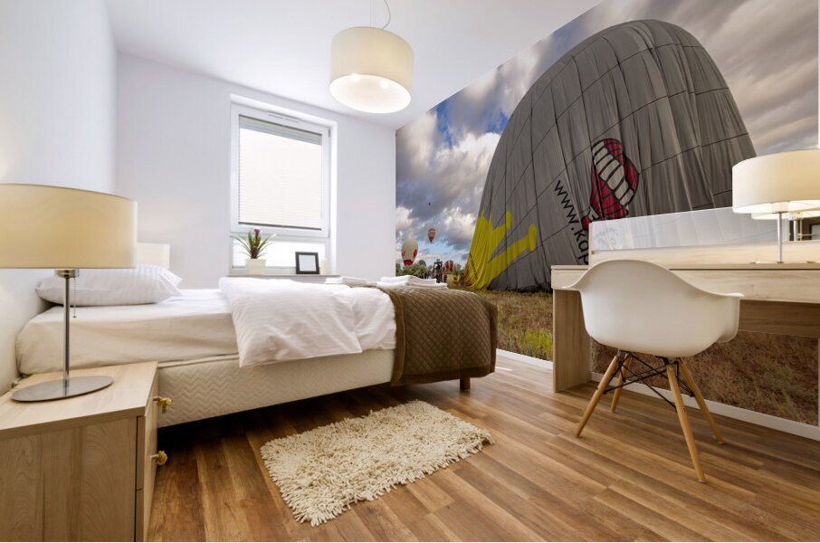 just landed balloon is deflated for transport. Mural print