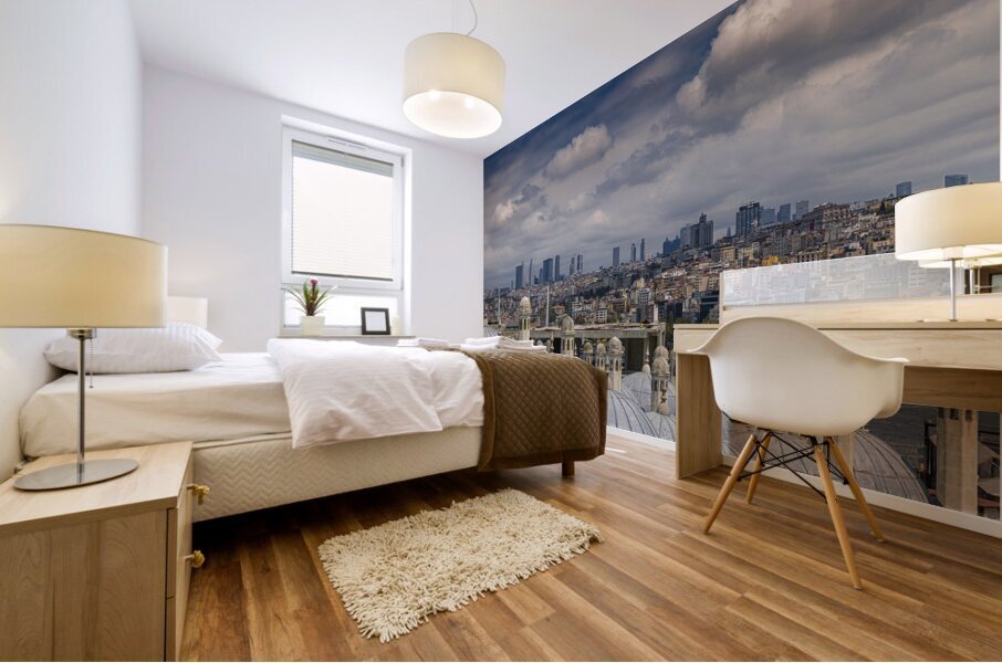 view of city of istanbul  Mural print