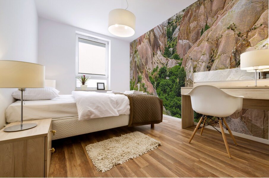 entrance to the red valley in turkey Mural print