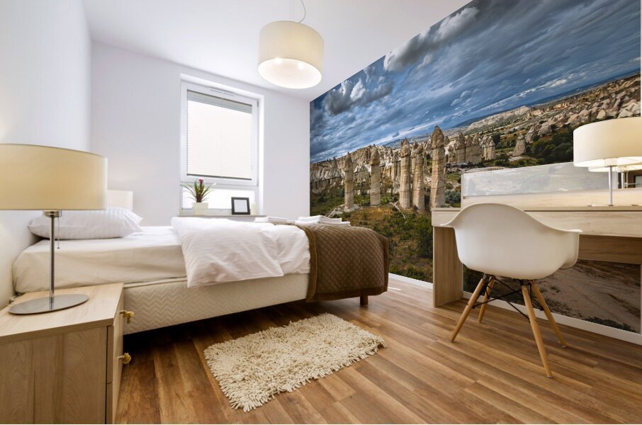 love valley landscape in cappadocia Mural print
