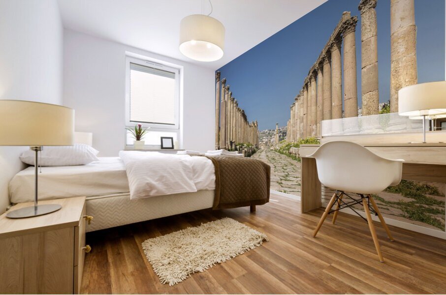 Roman columns in amman Mural print