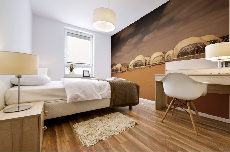 domes hotel in desert Mural print