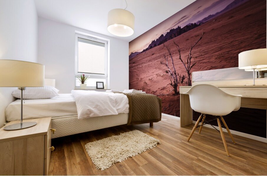 wadi rum at sunset Mural print