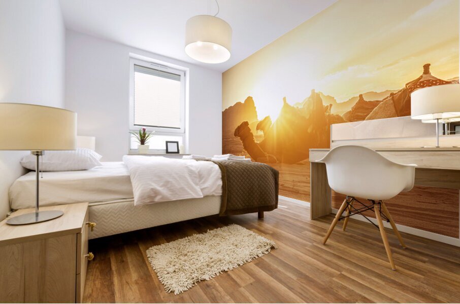 wadi rum camels Mural print
