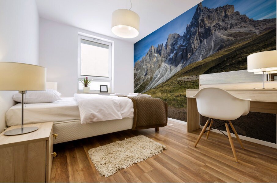 pale di san martino Mural print