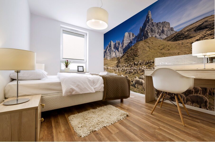 sheep in passo rolle Mural print