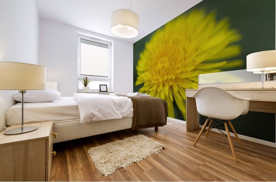 Dandelion Wildflower Macro Mural print