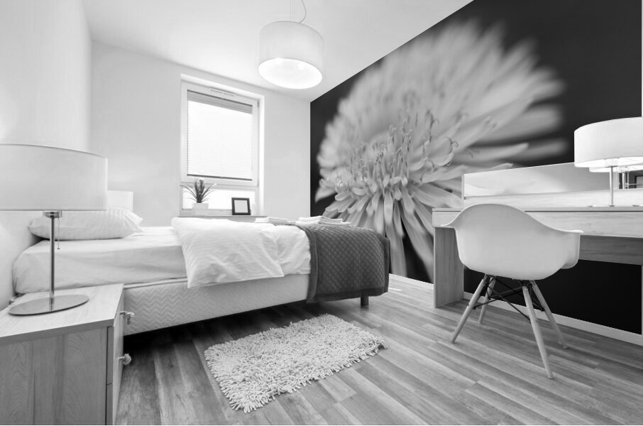 Dandelion Wildflower Macro B&W Mural print