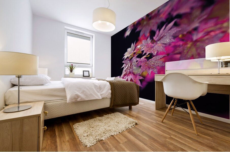 Acer Leaves Mural print