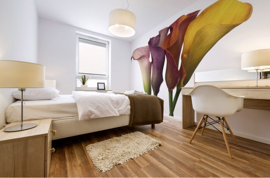 Calla Lilies Mural print