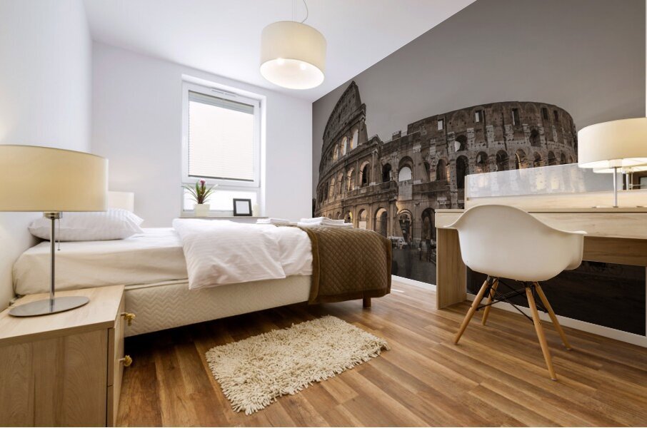 Rome Colosseum Mural print