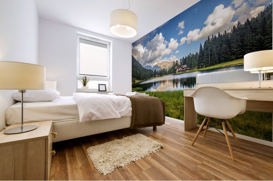 view of nambino lake italy Mural print