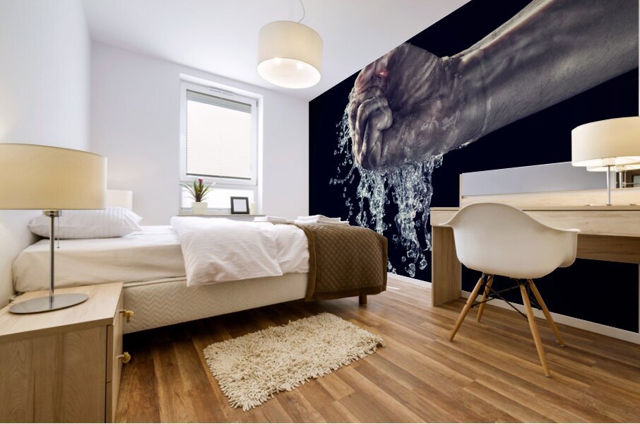 water is the real power Mural print