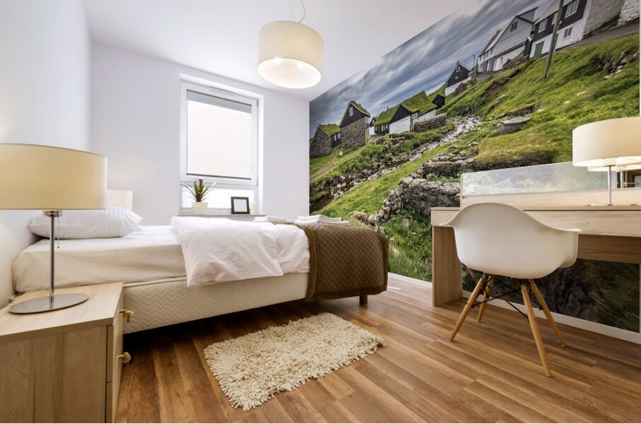house with green roof  Mural print