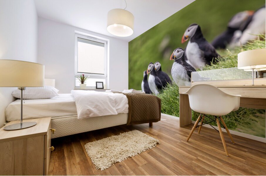Fratercula arctica in mykinesfaroe  Mural print