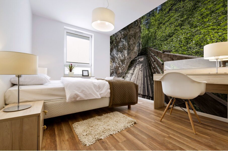 path to san romedio Mural print