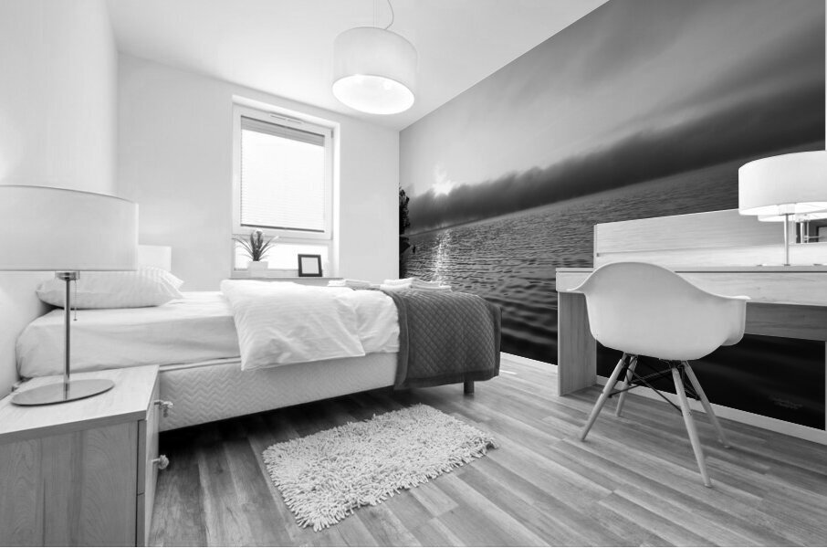 Mystical Foggy Lake Morning Grayscale Mural print