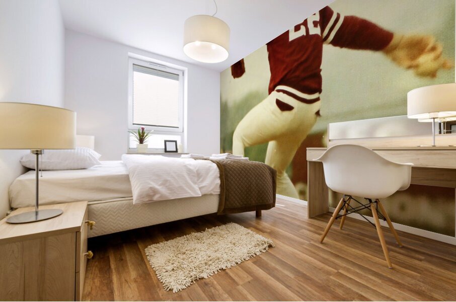 1980 mississippi state baseball art Mural print