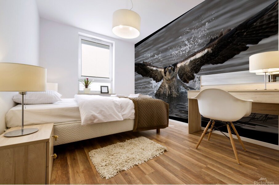 Osprey Faceon darker Mural print
