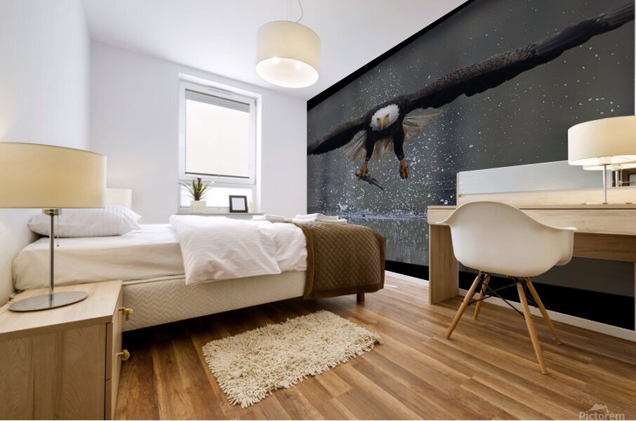 Eagle Stare  Mural print