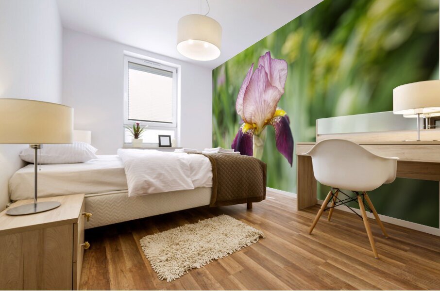 Purple Iris Flower Landscape  Mural print