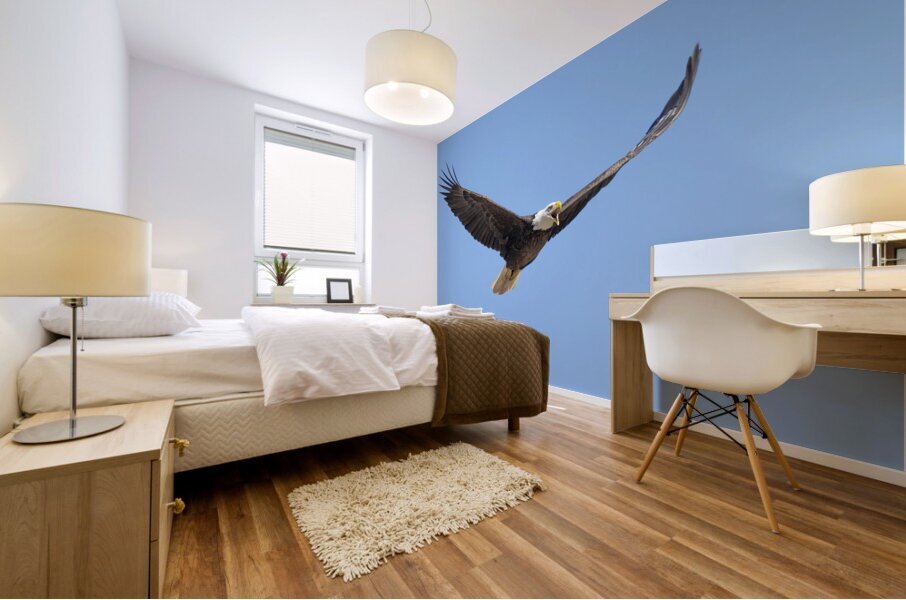 Soaring Mural print