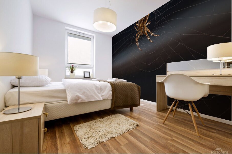 Araignee 7 Mural print