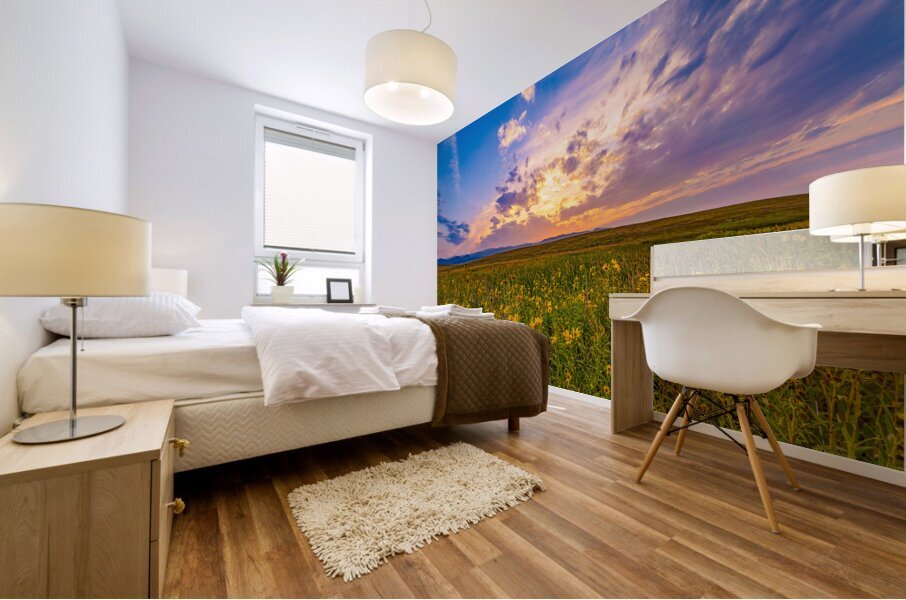 Montana Sunset Mural print