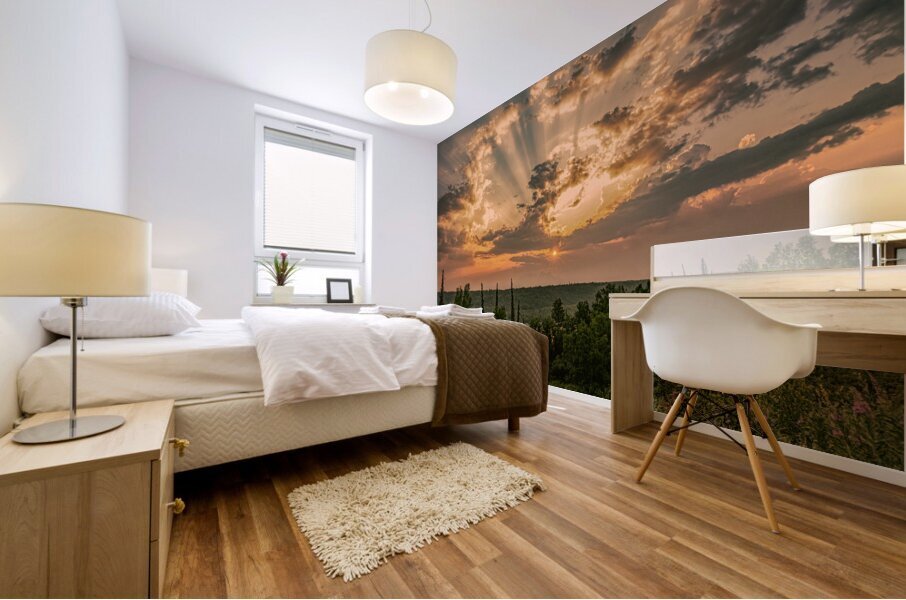 Denali Sunset Mural print