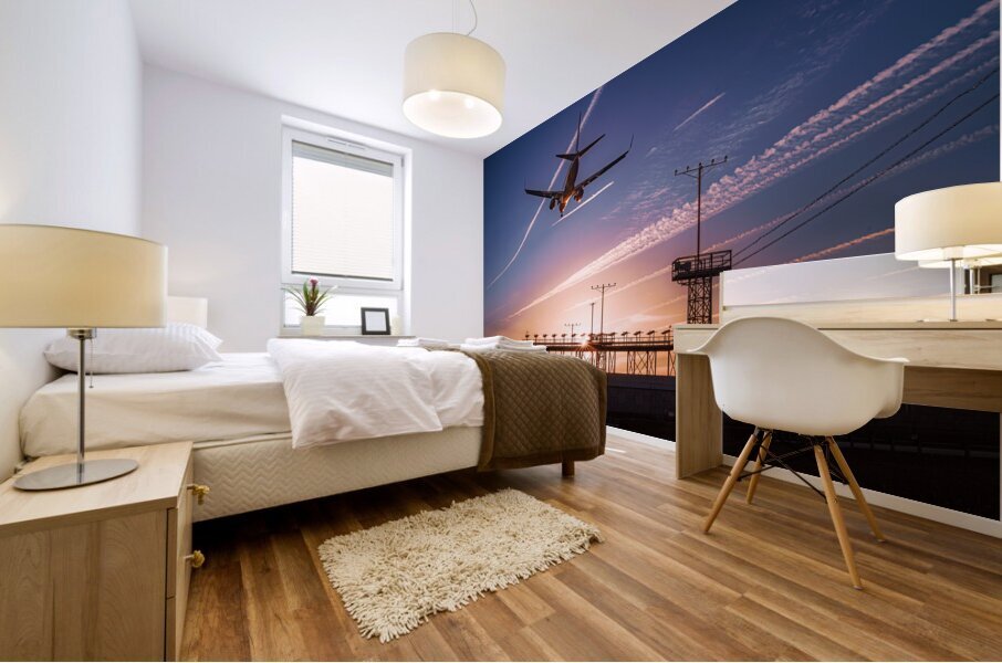 Landing at BWI Mural print