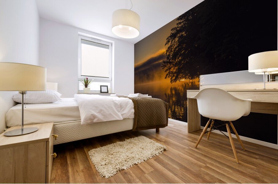Adirondack Sunrise Mural print