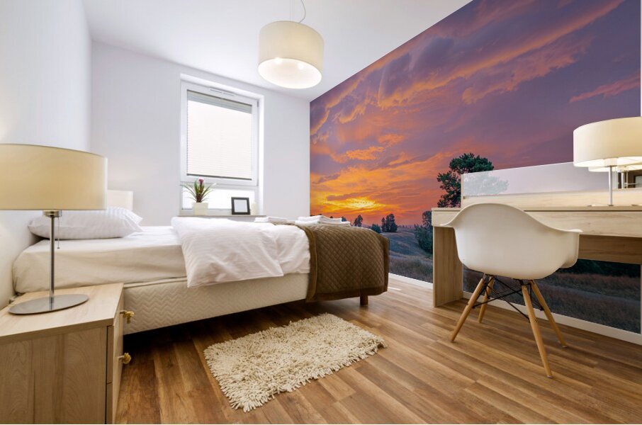 Montana Sunrise Mural print