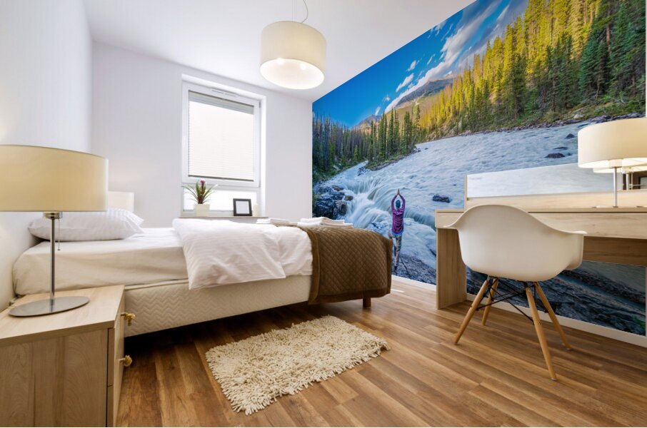 Tree Pose over Sunwapta Falls Mural print