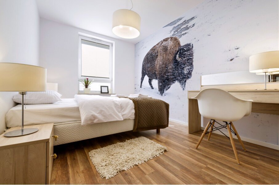 Snowy Buffalo II Mural print