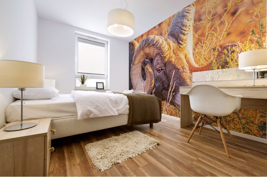 Big Horn Eye Mural print