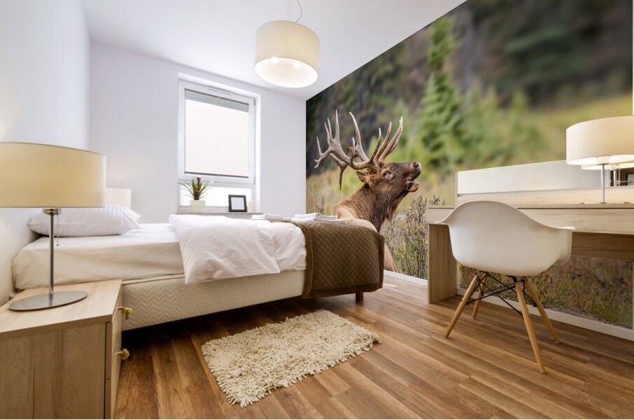Bugaling Elk Mural print