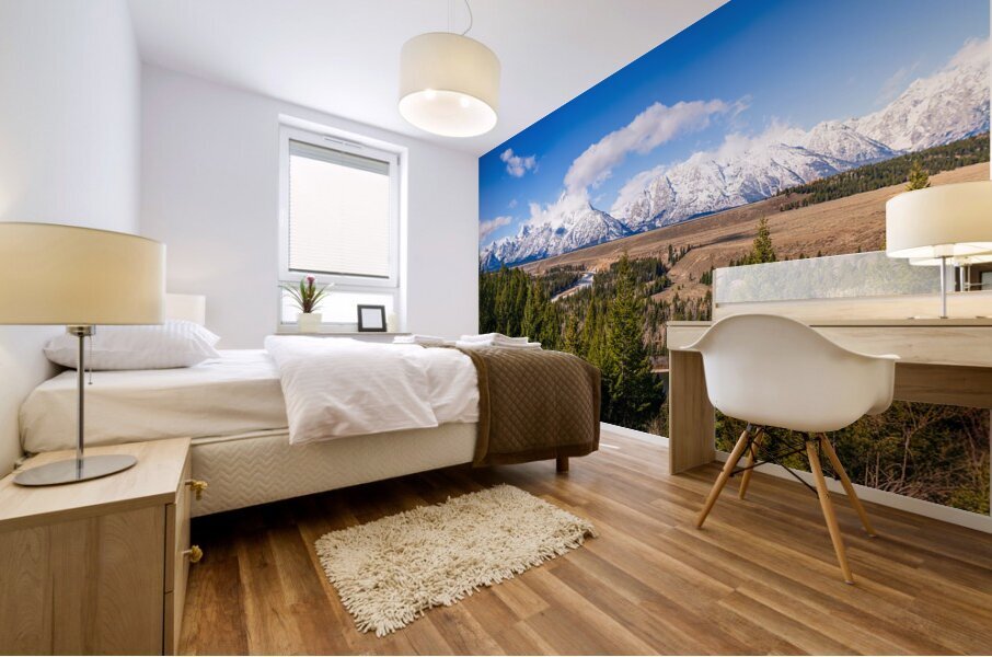 Snake River Panorama Mural print