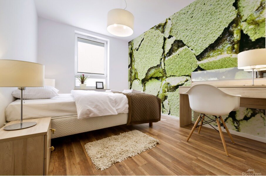 Matcha Lemon Bars Mural print