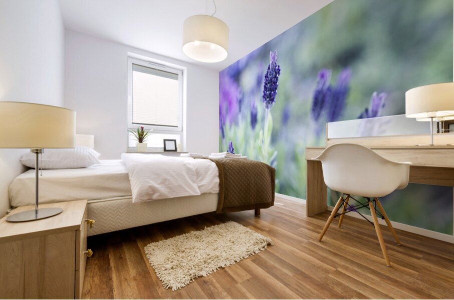 Purple Lavender Flower Macro Mural print