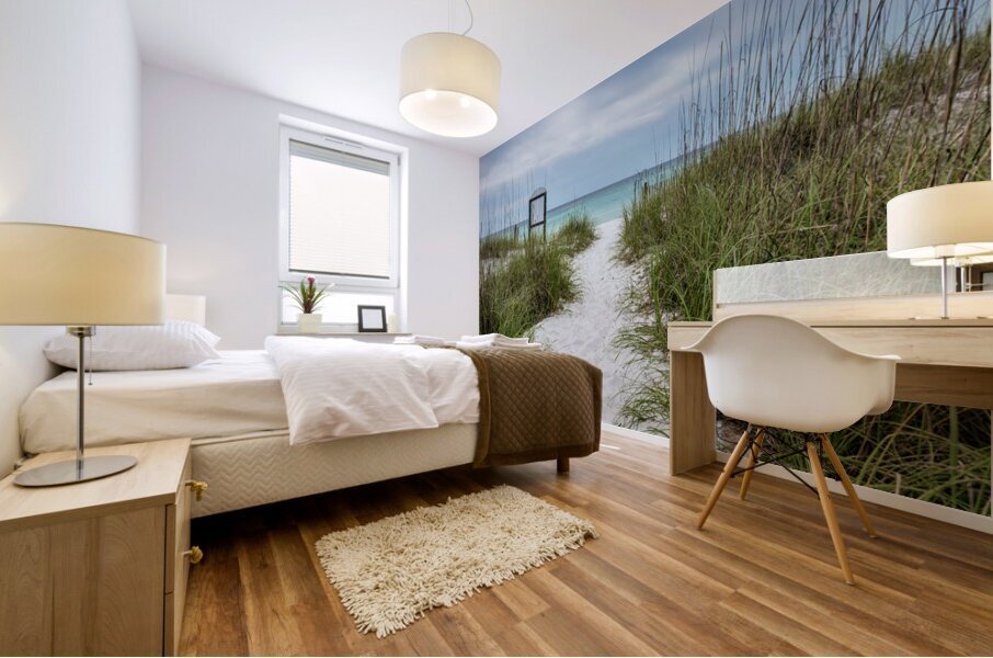 Destin White Sand Path To The Beach Mural print