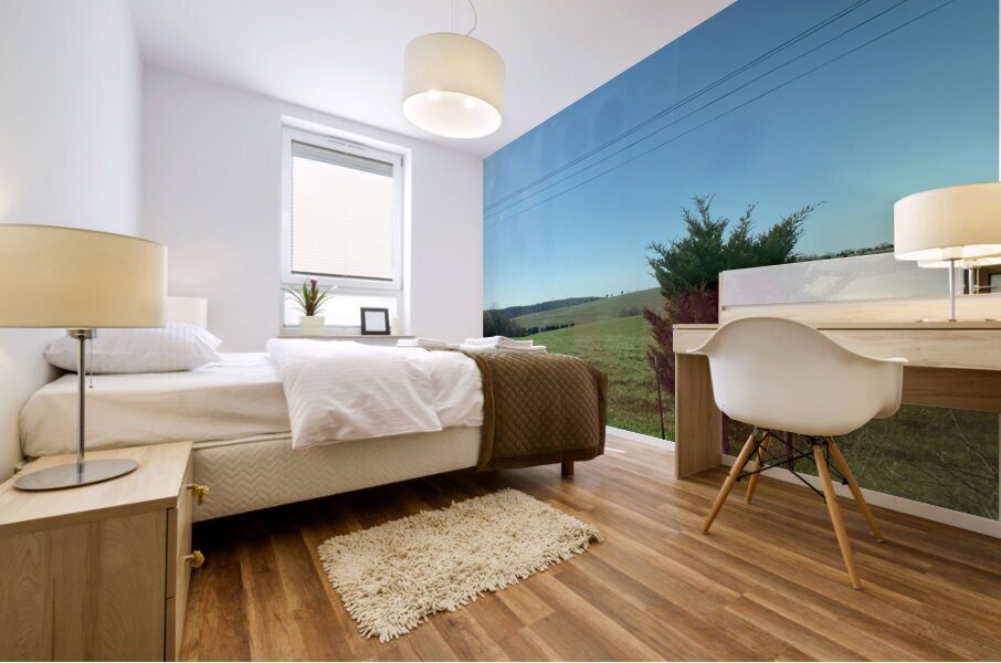 D8D56DF9 79E7 4AFA 92D8 211F40EEC610 Mural print