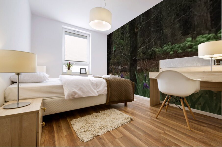 FA48C97A 2E25 479A B3B0 6118F39ABAE2 Mural print
